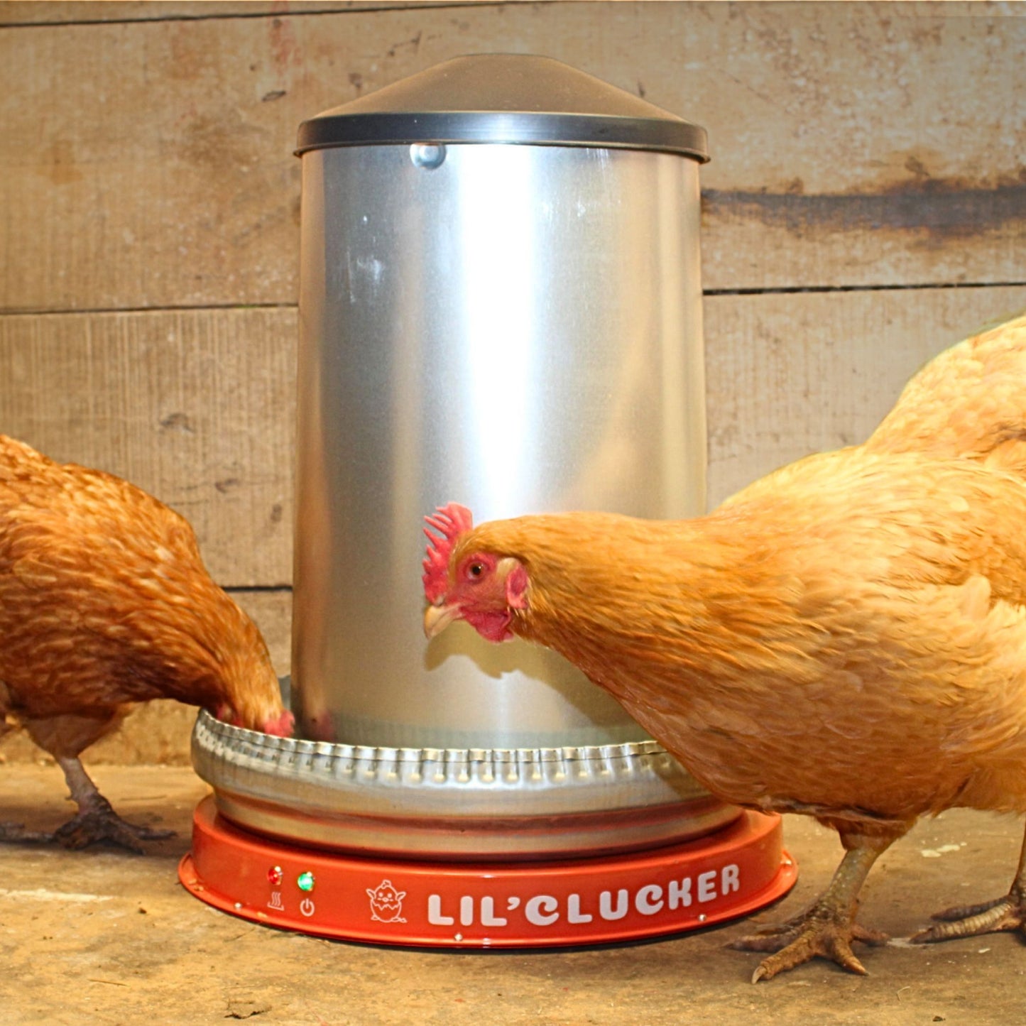 Poultry Waterer Heater