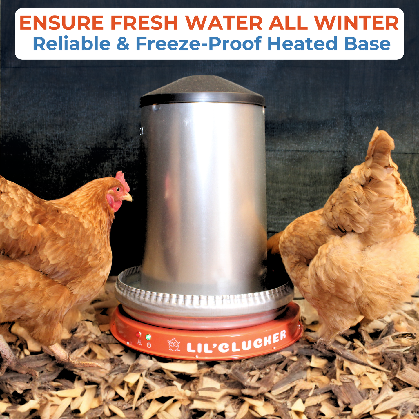 winter chicken waterer heater