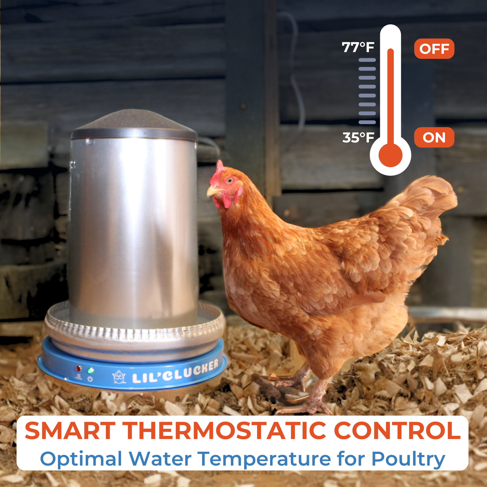 Thermostatically Control Chicken Waterer Heater