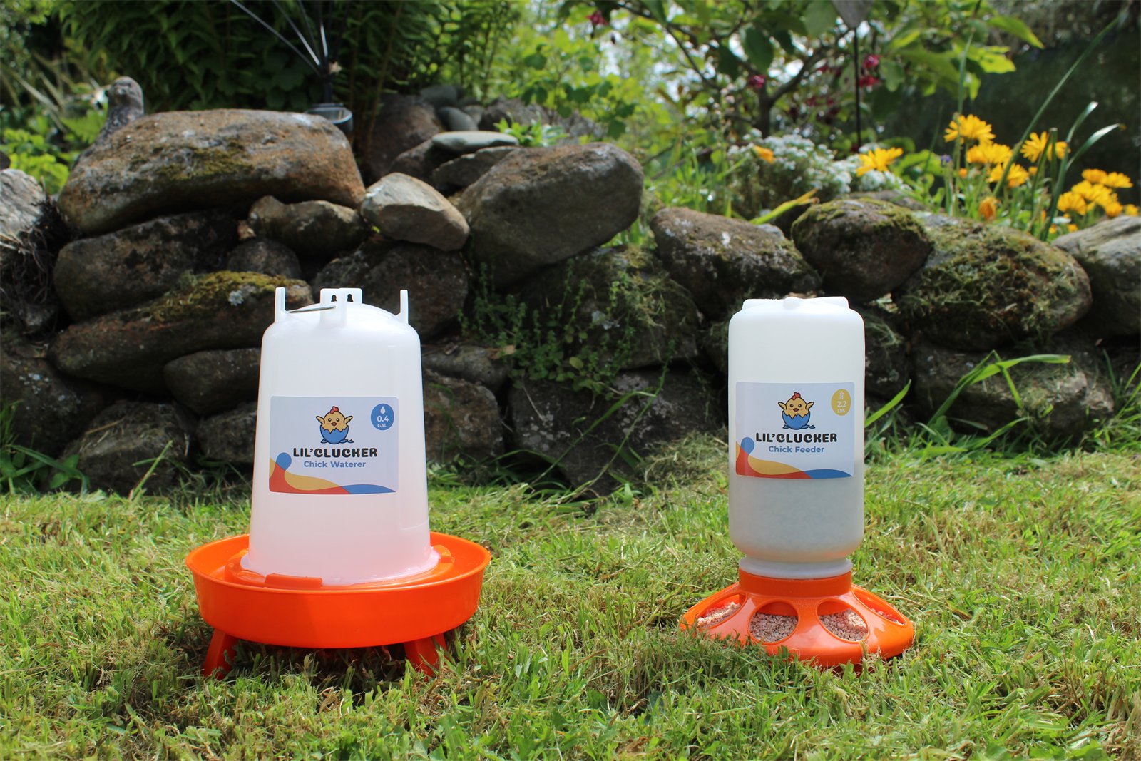 The Lil'Clucker chick waterer and chick feeder on the lawn