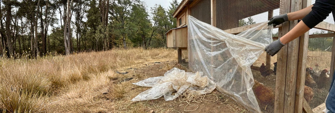 Winter’s Almost Over: 10 Mistakes to Avoid as You Prep for Spring