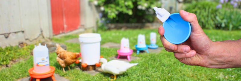 Before You Buy a Chicken Waterer: What Actually Matters (And What Doesn’t)