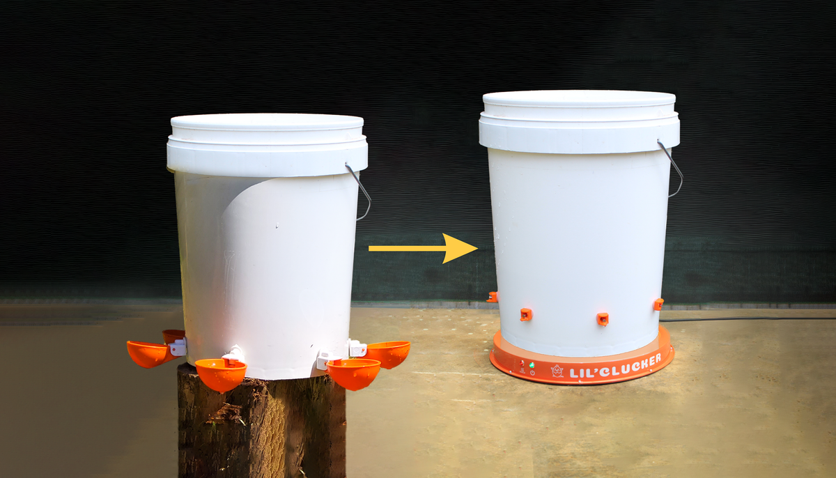 Frozen No More: Transitioning Your Poultry Waterers for Winter