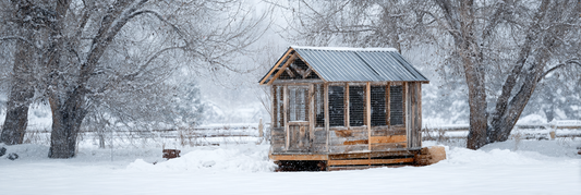 Winter Coop Checklist: 10 Essential Tools Every Poultry Owner Needs for Cold Weather