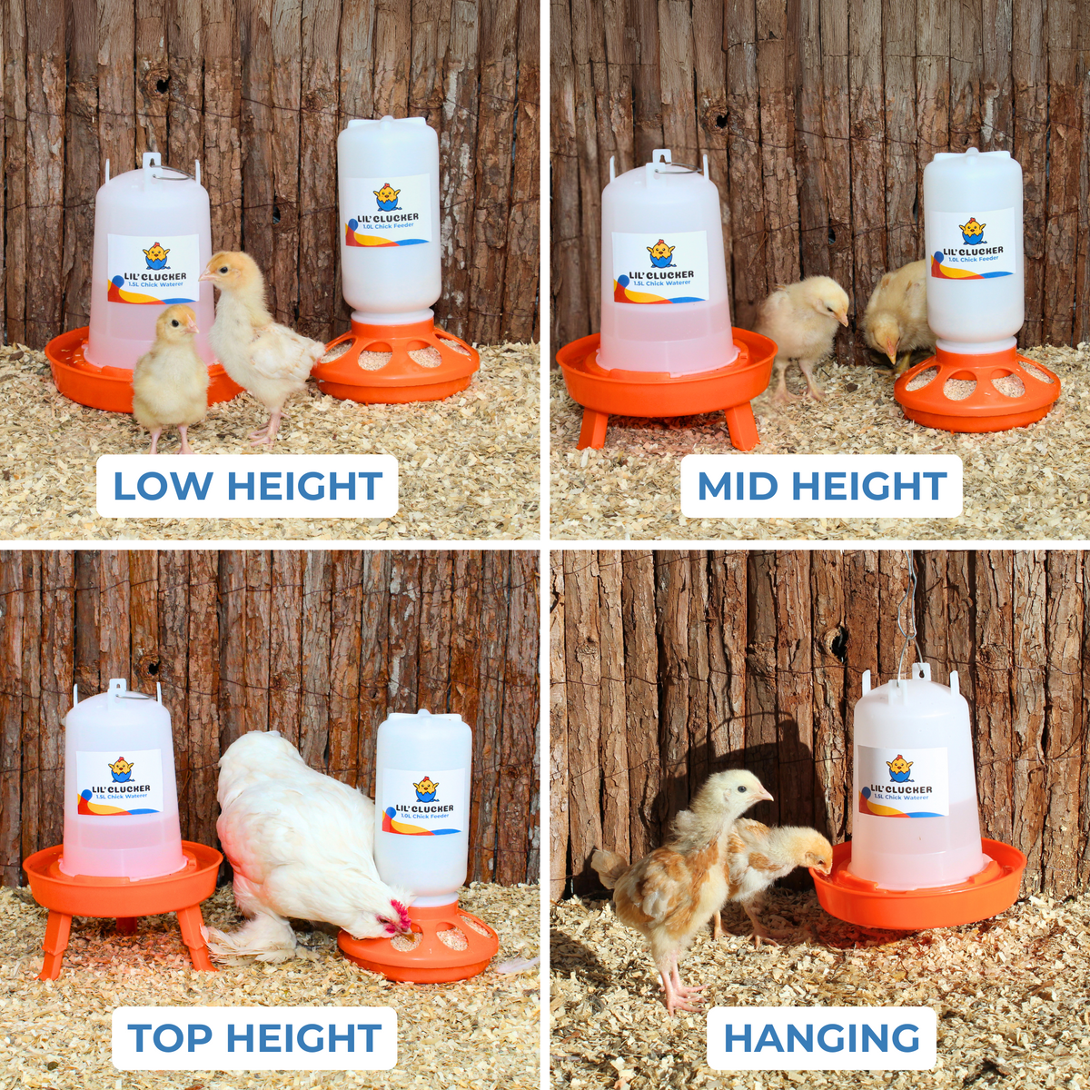 1L Chick Feeder, 1.5L Chick Waterer - Lil'Clucker