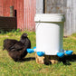 Large Automatic Chicken Waterer Cups - Pack of 5 (Blue) - Lil'Clucker