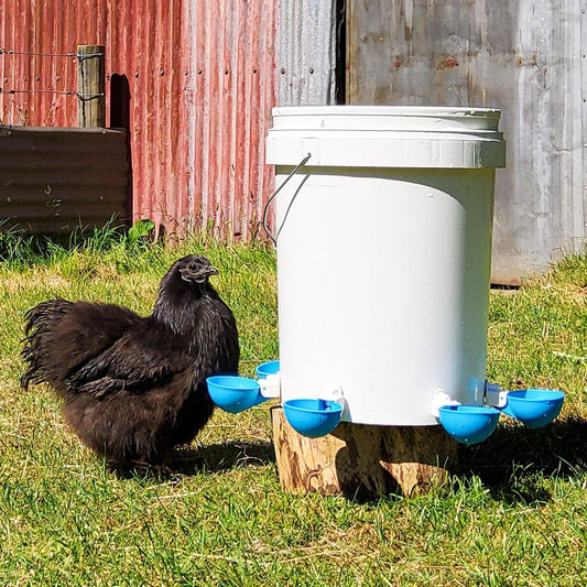 Large Automatic Chicken Waterer Cups - Pack of 5 (Blue) - Lil'Clucker