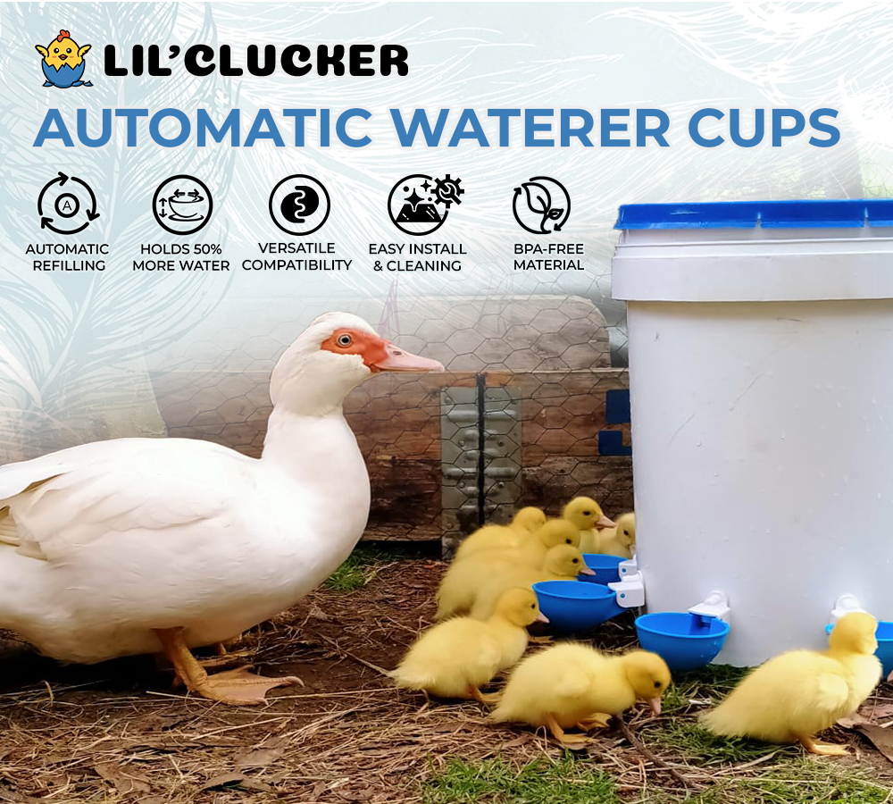 Farmight Auto-Filling Poultry Water Cup, Pack of 5 or 10 - My Pet Chicken