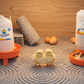 Brooder Starter Essentials