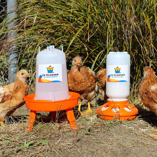 1L Chick Feeder, 1.5L Chicken Waterer - Lil'Clucker