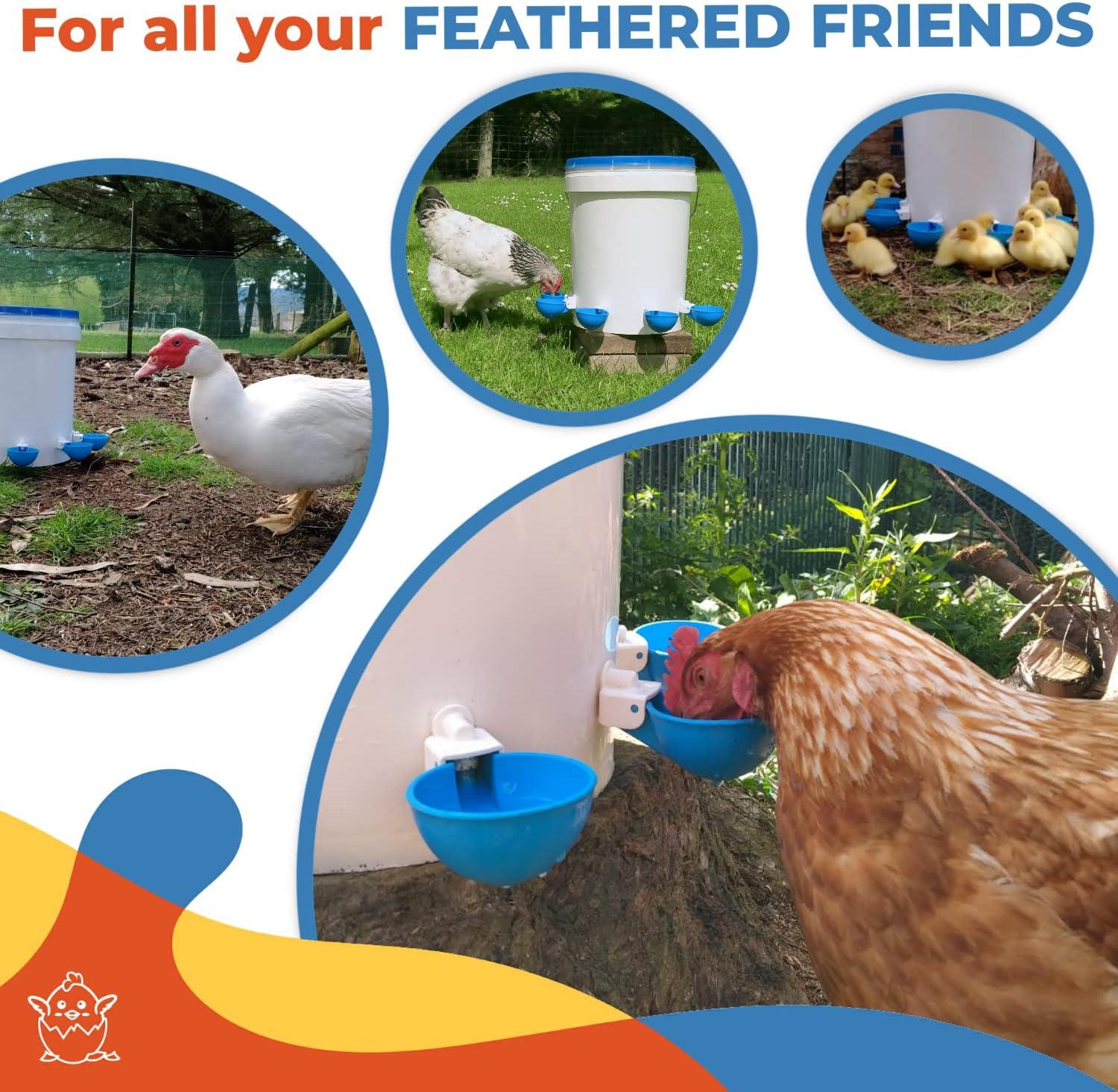 Large Automatic Chicken Waterer Cups - Pack of 5 (Blue) - Lil'Clucker