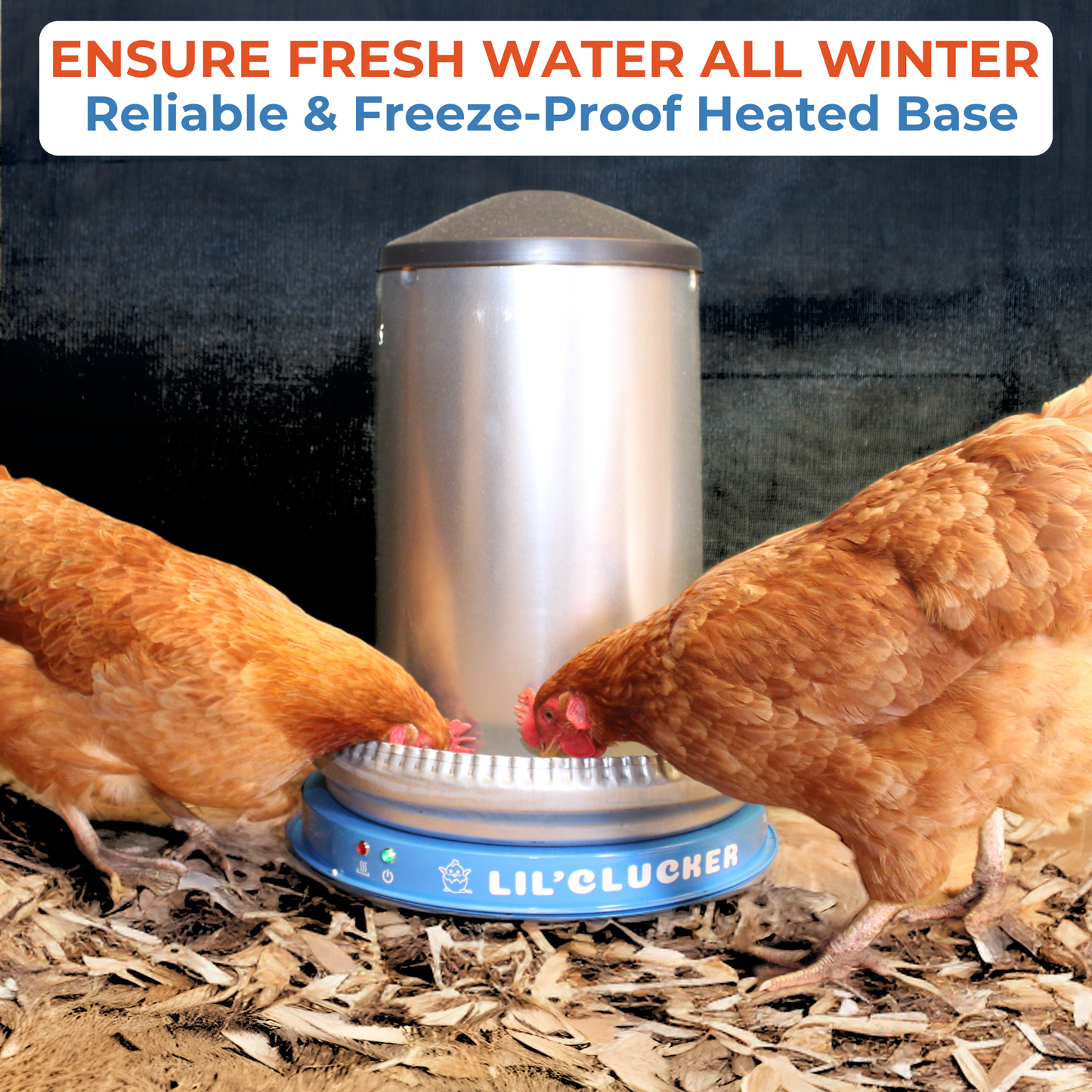 Chicken Waterer Heated Base (Blue)