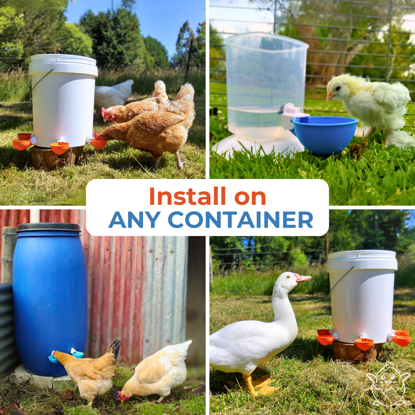 Large Automatic Chicken Waterer Cups (Orange)