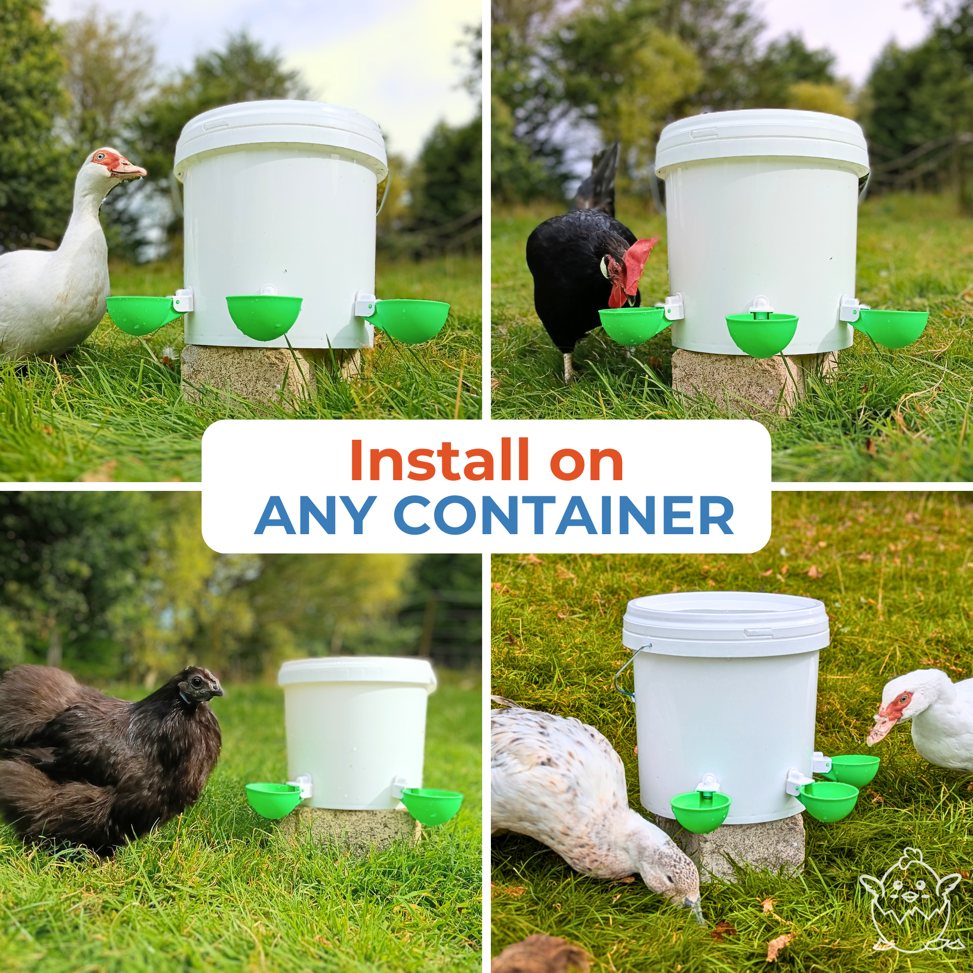 Large Automatic Chicken Waterer Cups - Green - Lil'Clucker