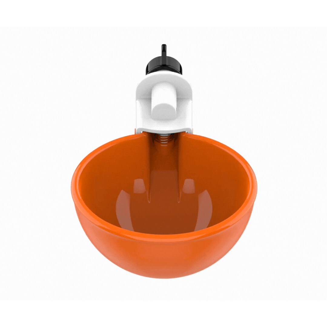 LIL CLUCKER AUTOMATIC CHICKEN DUCK WATERER CUPS GIF.gif__PID:2404786b-5bcd-4ef7-8f1c-03ed5c4578ce