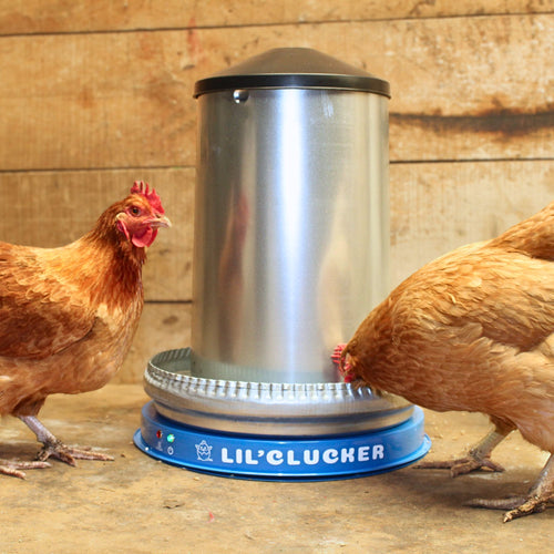 Chicken Waterer Heated Base (Blue) - Lil'Clucker