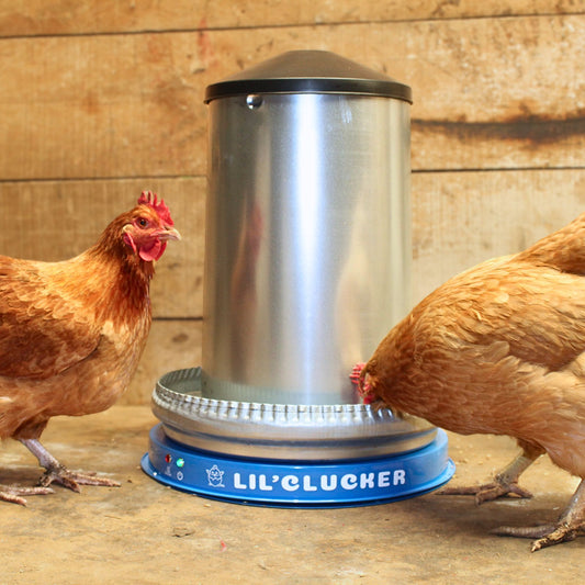 Chicken Waterer Heated Base (Blue)