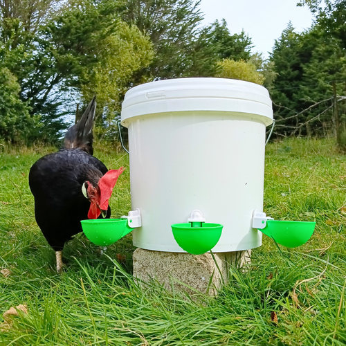 Large Automatic Chicken Waterer Cups - Green [Spring Collection] - Lil'Clucker