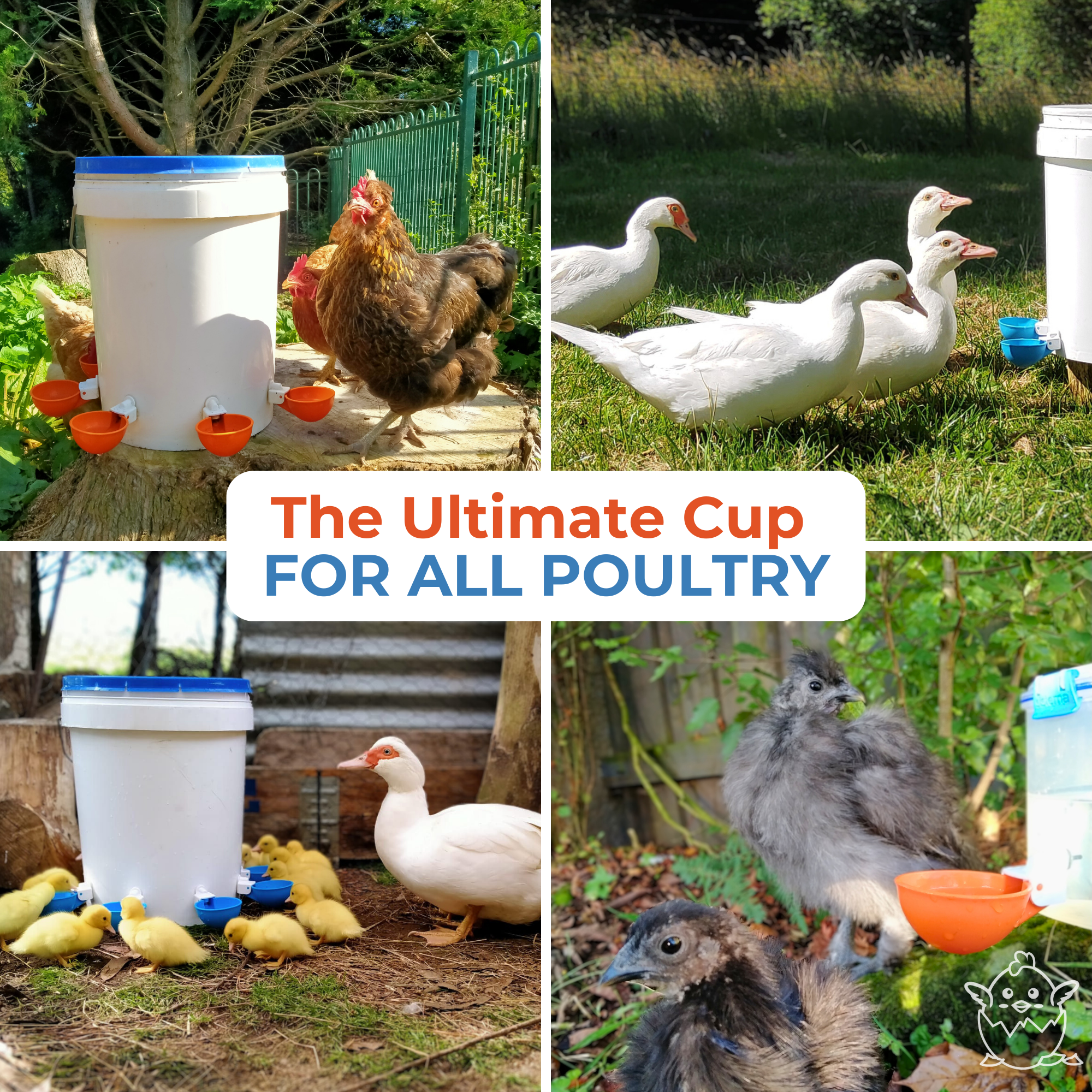 Large Automatic Chicken Waterer Cups (Blue) - Lil'Clucker