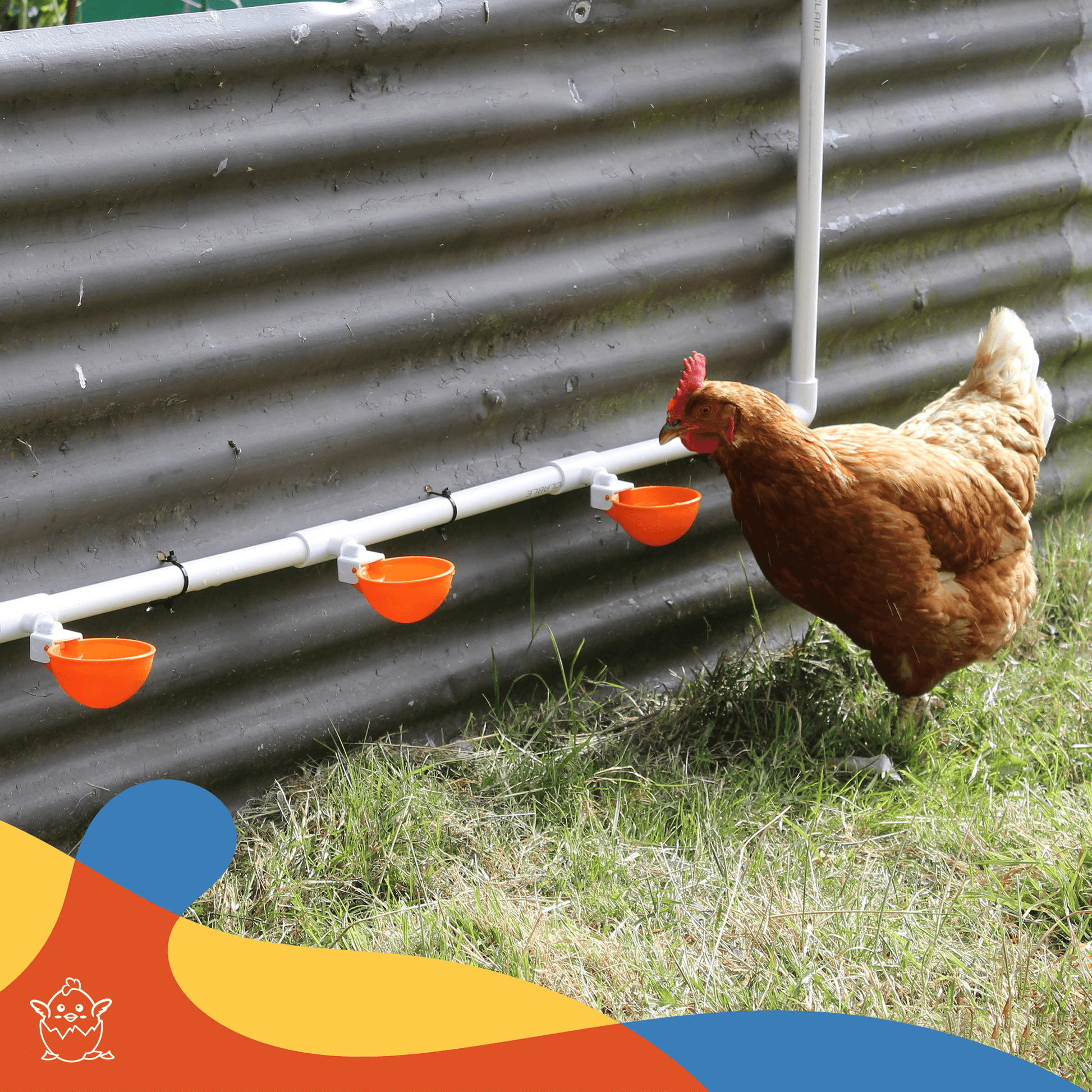 Large Automatic Chicken Waterer Cups and Tees - Pack of 5 (Orange) - Lil'Clucker