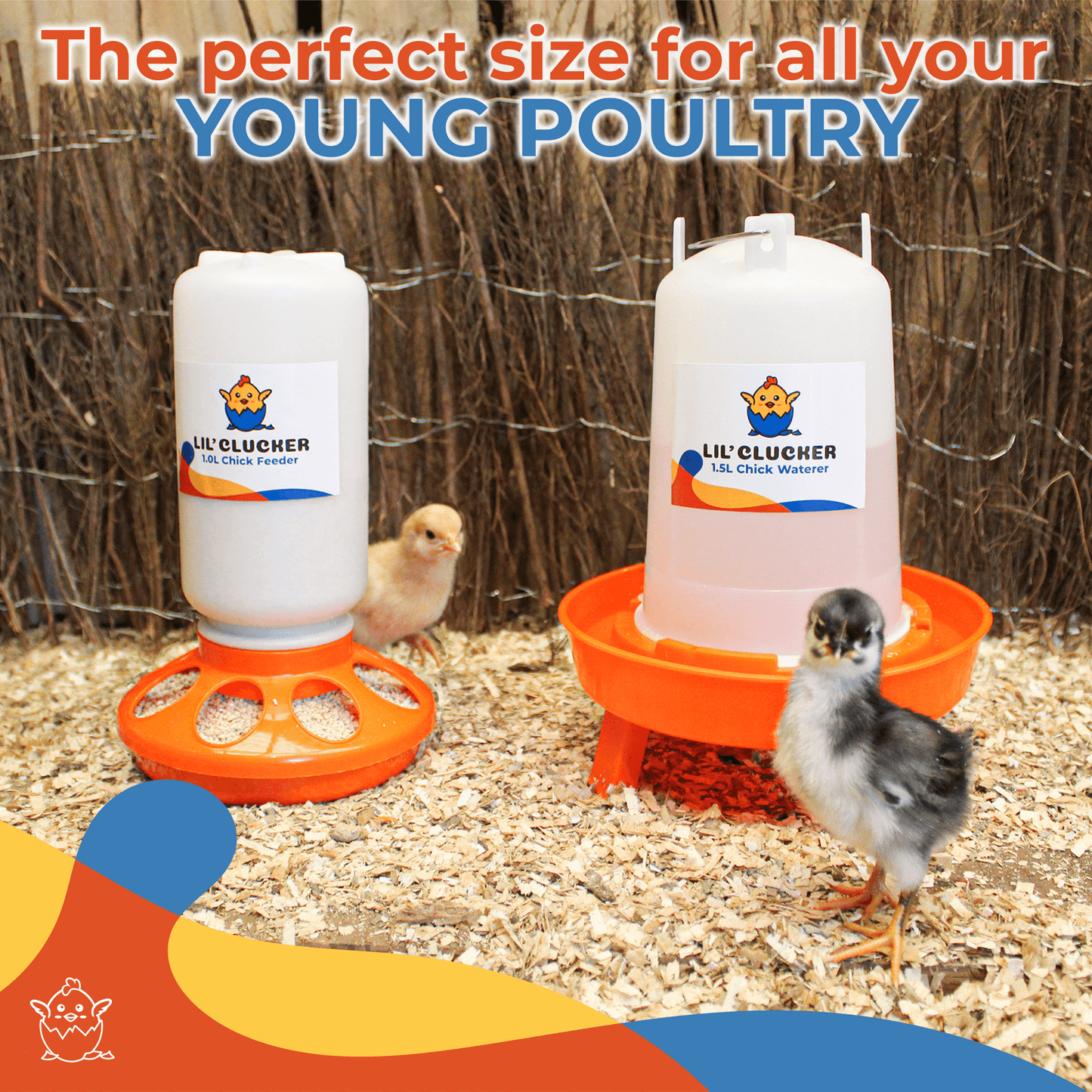 1L Chick Feeder, 1.5L Chick Waterer - Lil'Clucker