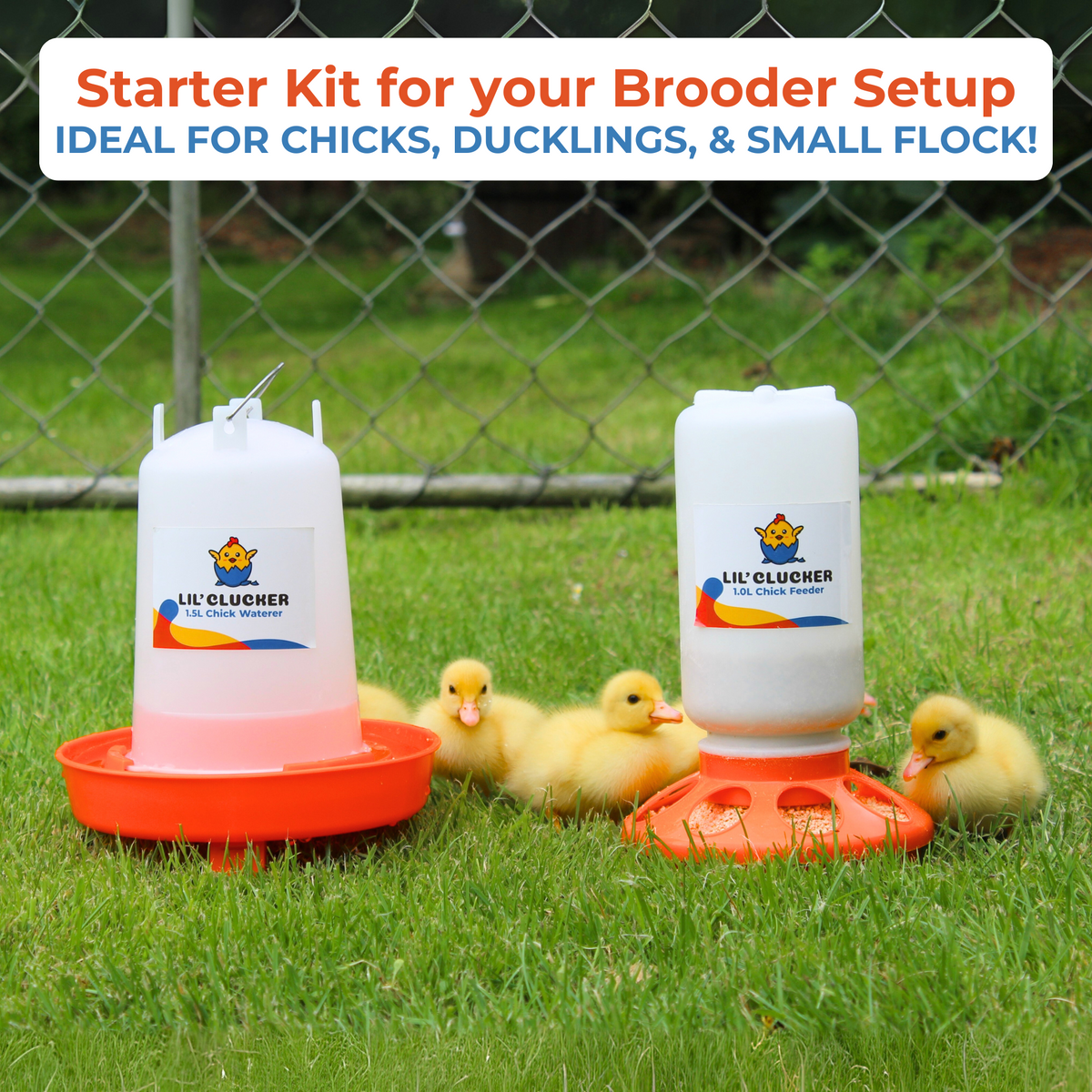 1L Chick Feeder, 1.5L Chick Waterer - Lil'Clucker