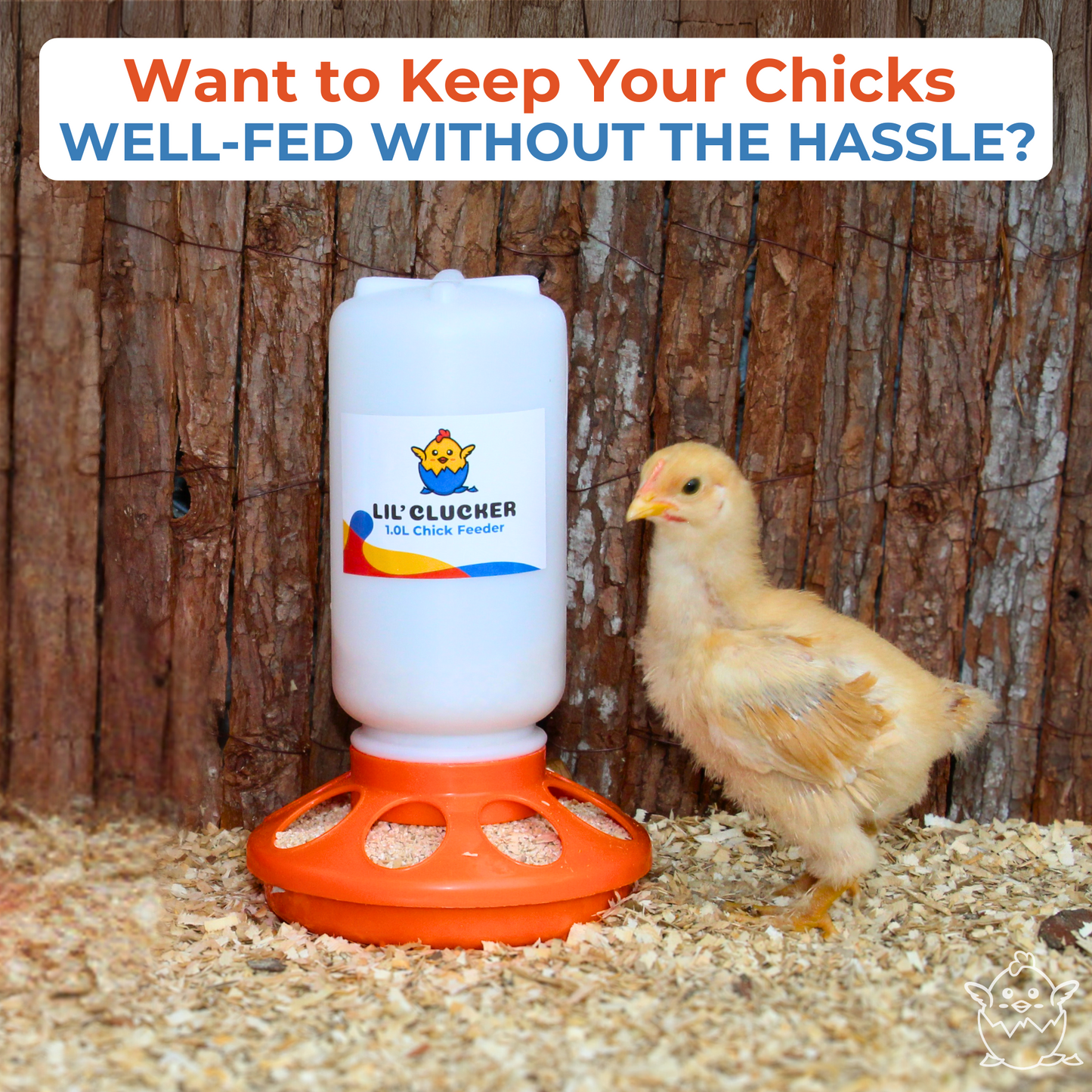 1L Chick Feeder, 1.5L Chick Waterer