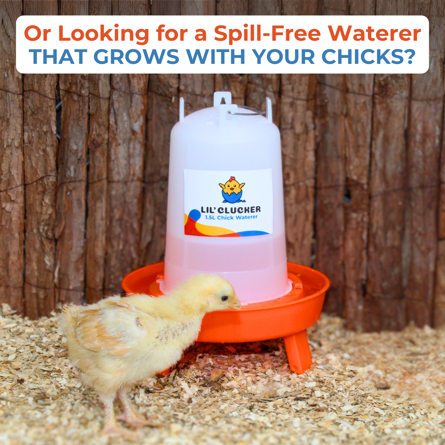 1L Chick Feeder, 1.5L Chick Waterer