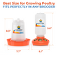 1L Chick Feeder, 1.5L Chick Waterer