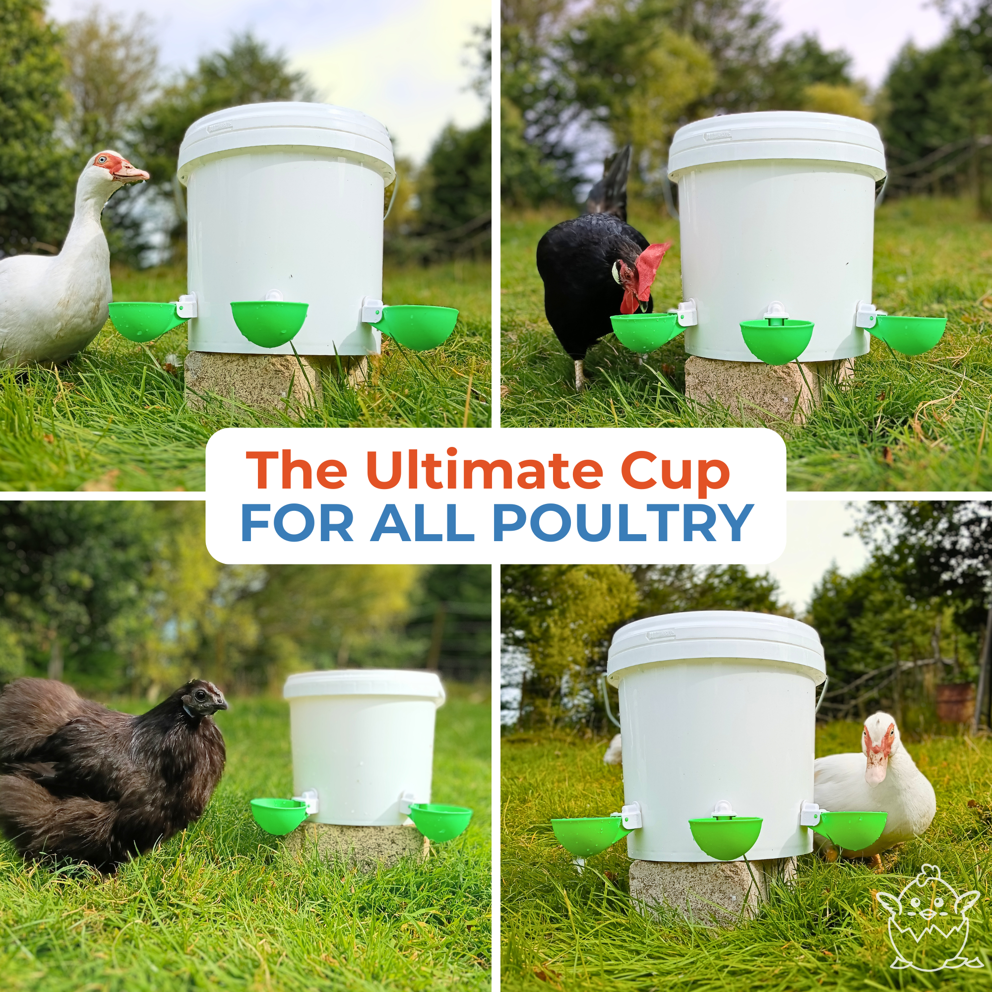 Large Automatic Chicken Waterer Cups - Green - Lil'Clucker
