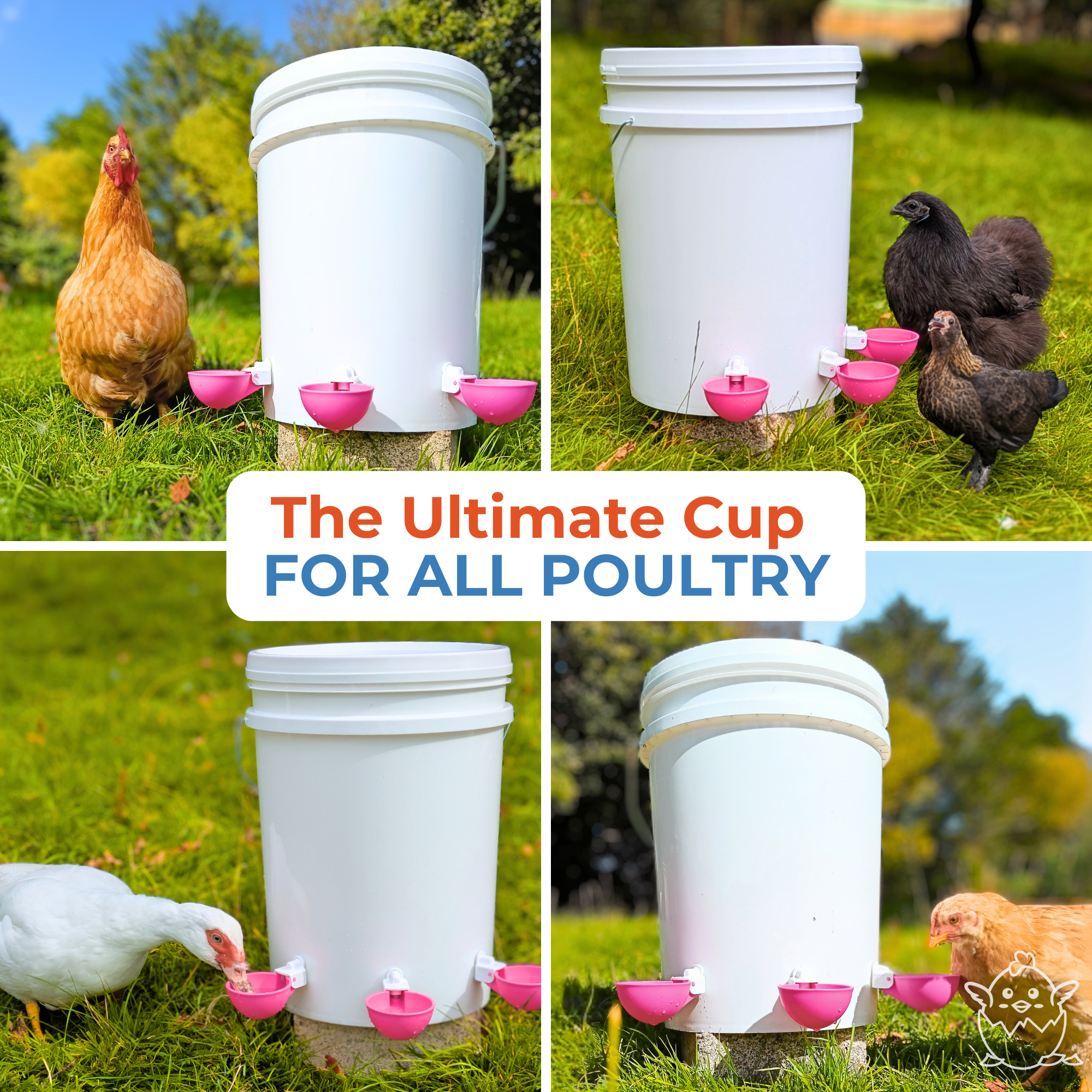 Large Automatic Chicken Waterer Cups - Pink - Lil'Clucker