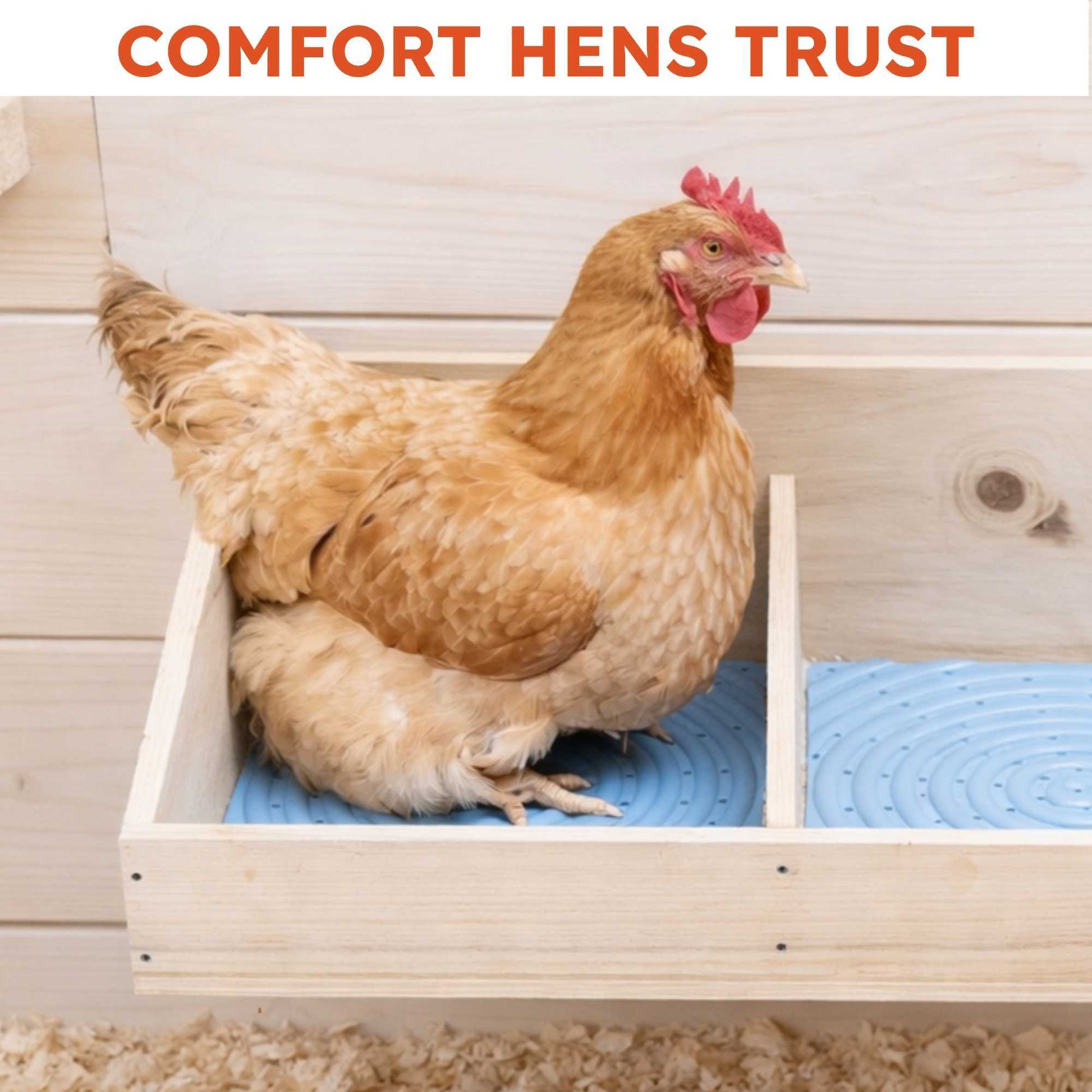 Washable Chicken Nesting Pads for Laying Eggs - Gray - Lil'Clucker