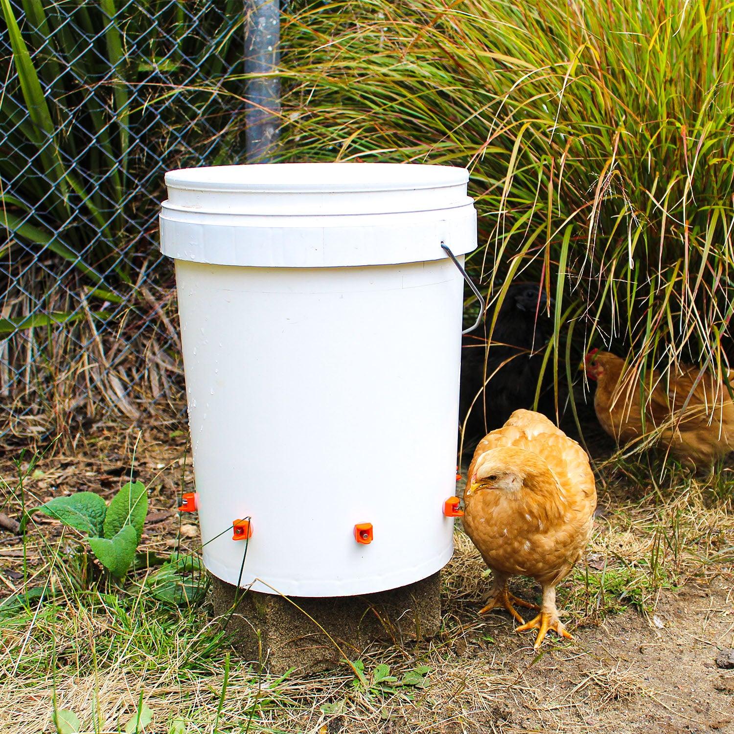 Horizontal Chicken Waterer Nipples - Pack of 15 (Orange) - Lil'Clucker