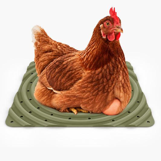 Washable Chicken Nesting Pads for Laying Eggs (Green)