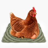 Washable Chicken Nesting Pads for Laying Eggs (Green)