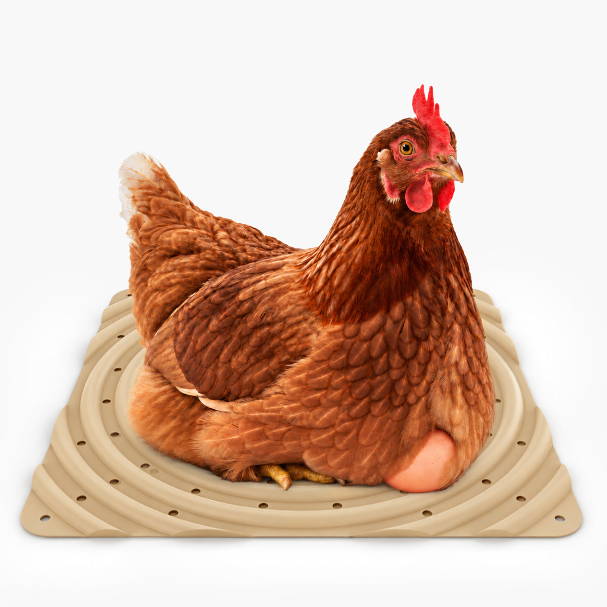 Washable Chicken Nesting Pads for Laying Eggs (Straw)