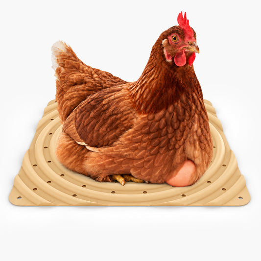Washable Chicken Nesting Pads for Laying Eggs (Straw)