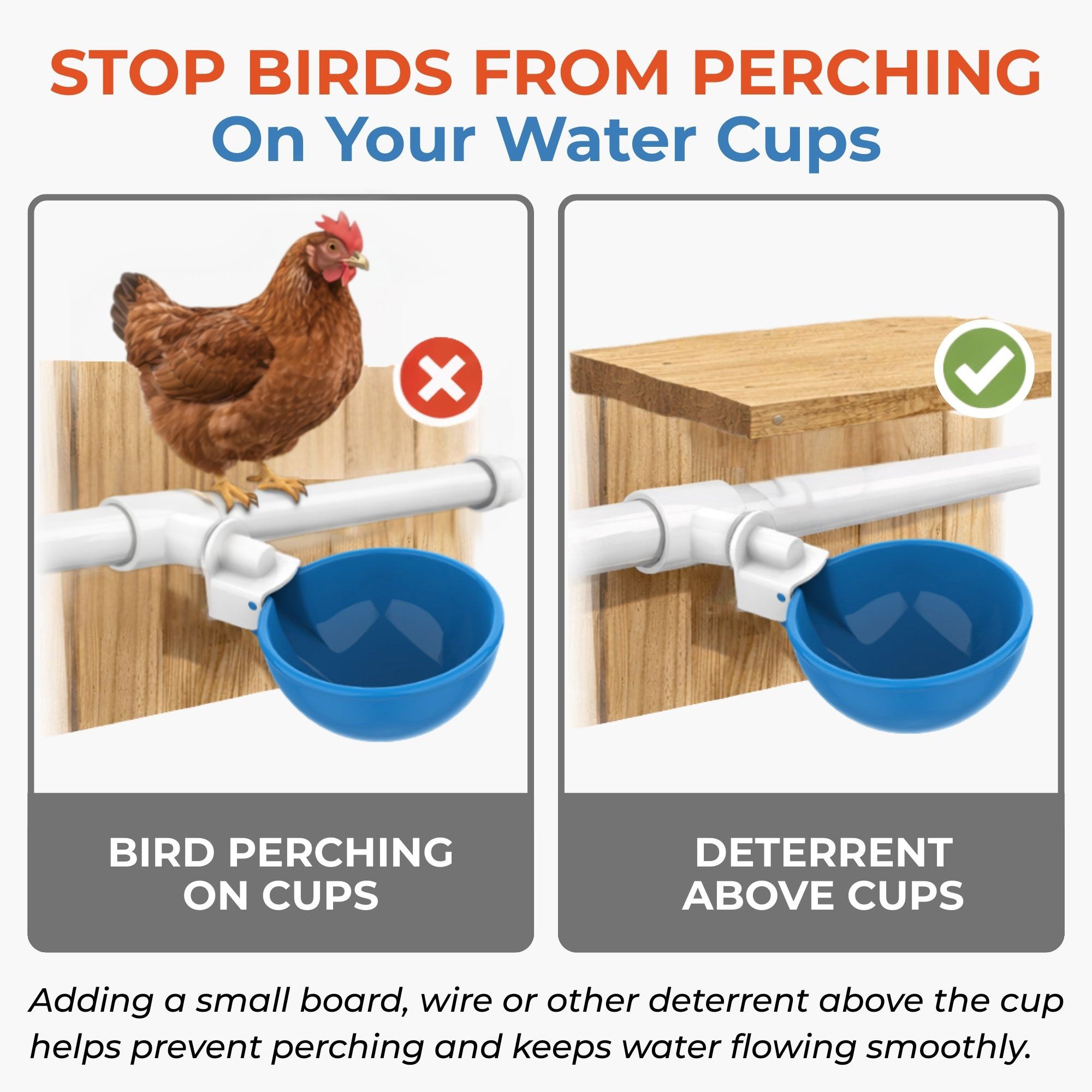 Large Automatic Chicken Waterer Cups & Tees (Blue) - Lil'Clucker