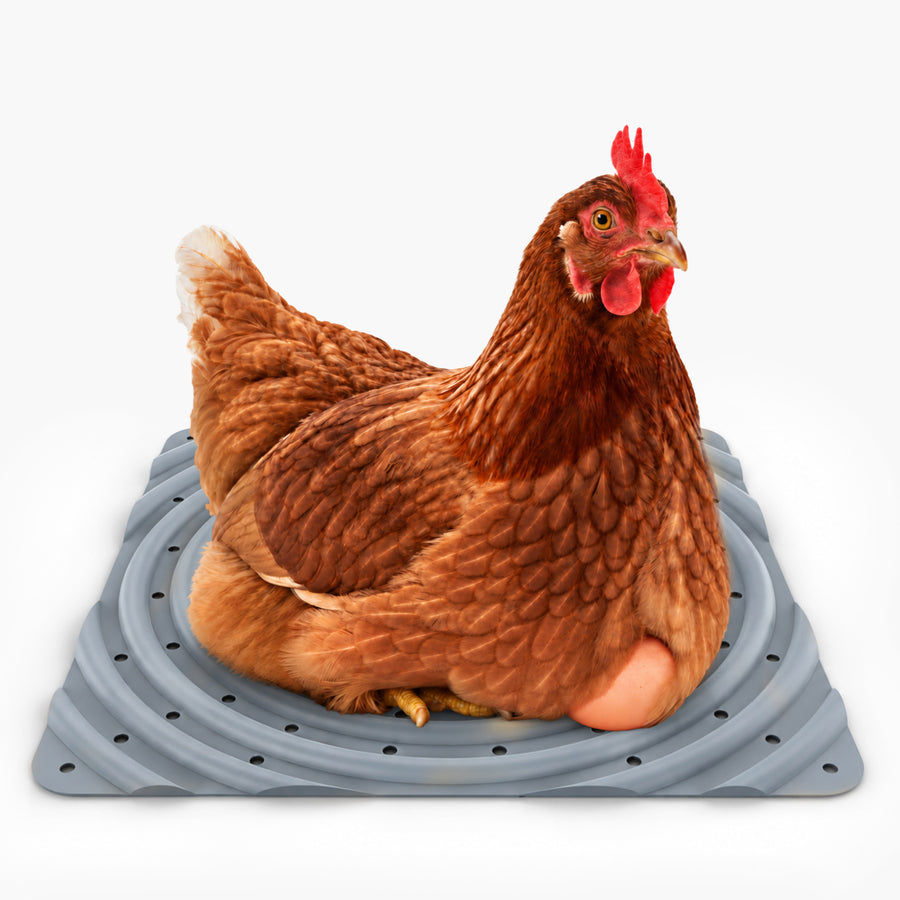Washable Chicken Nesting Pads for Laying Eggs