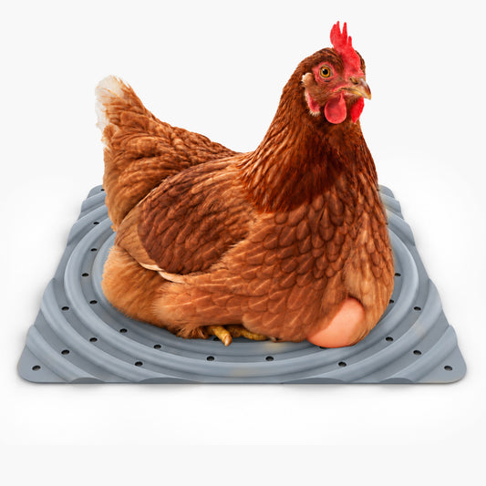 Washable Chicken Nesting Pads for Laying Eggs (Gray)
