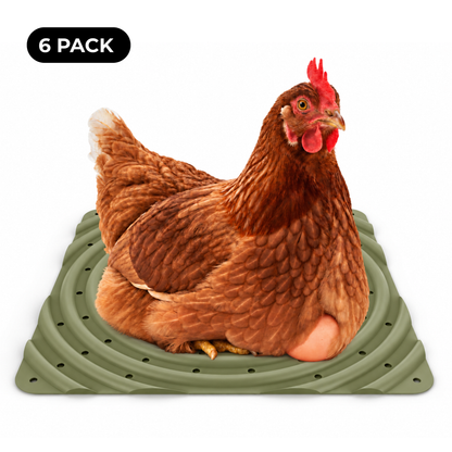 Washable Chicken Nesting Pads for Laying Eggs (Green)