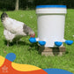 Large Automatic Chicken Waterer Cups - Pack of 5 (Blue) - Lil'Clucker