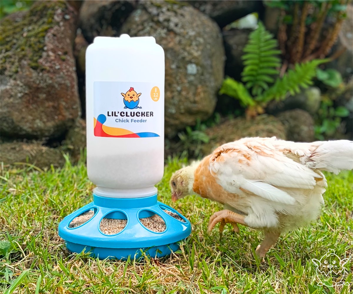 The feeder with its no-waste feed openings and anti-tip base