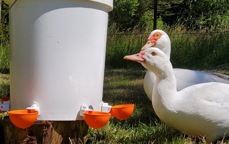 5-gallon bucket