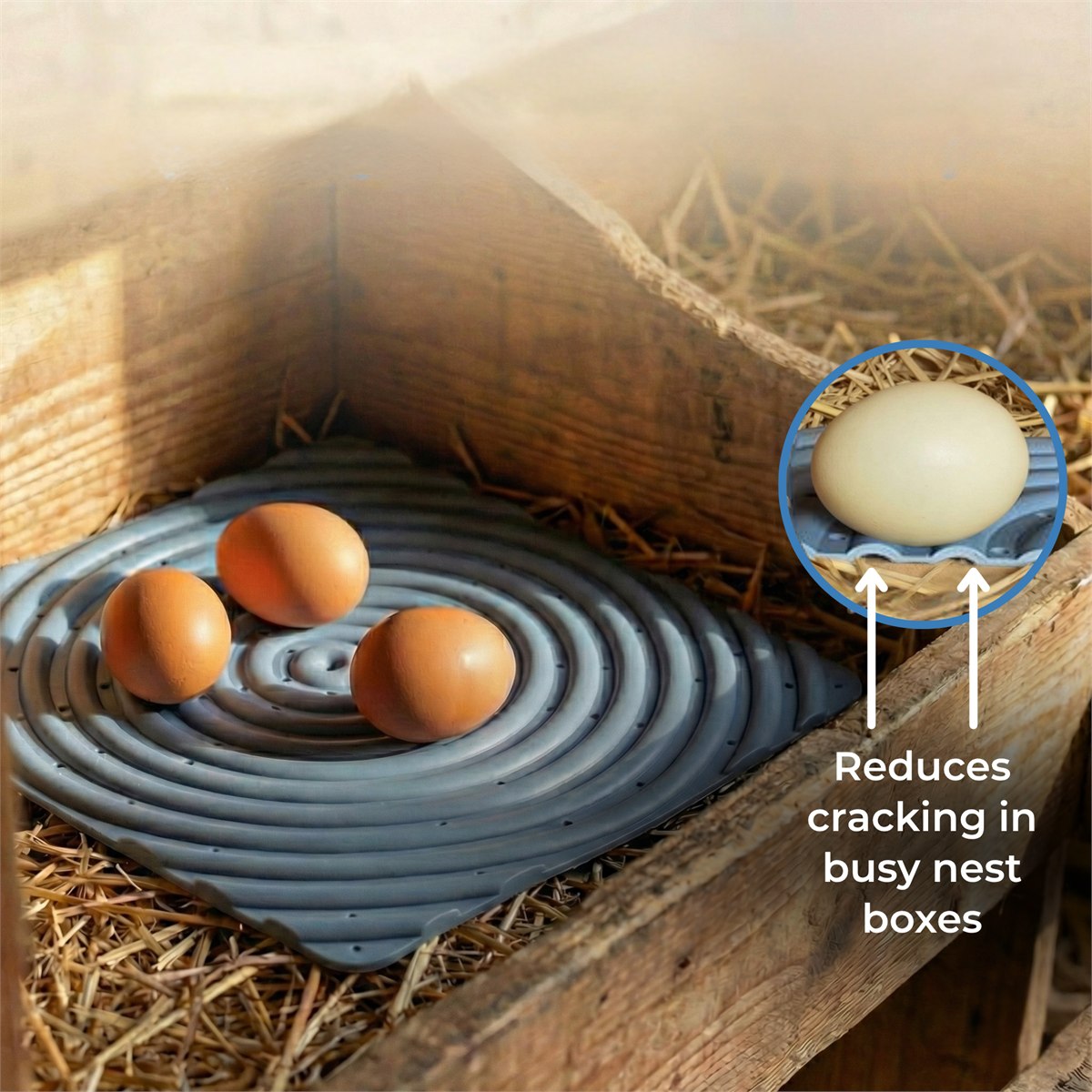 A hen sitting on a pad in a wooden nest box