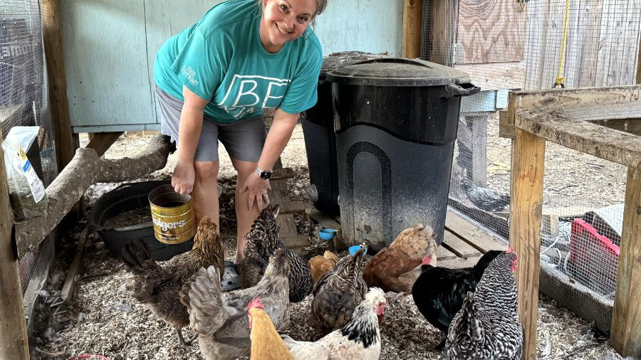 Customer photo: a keeper feeding her flock in the coop, blue Lil'Clucker cups on the feed bin