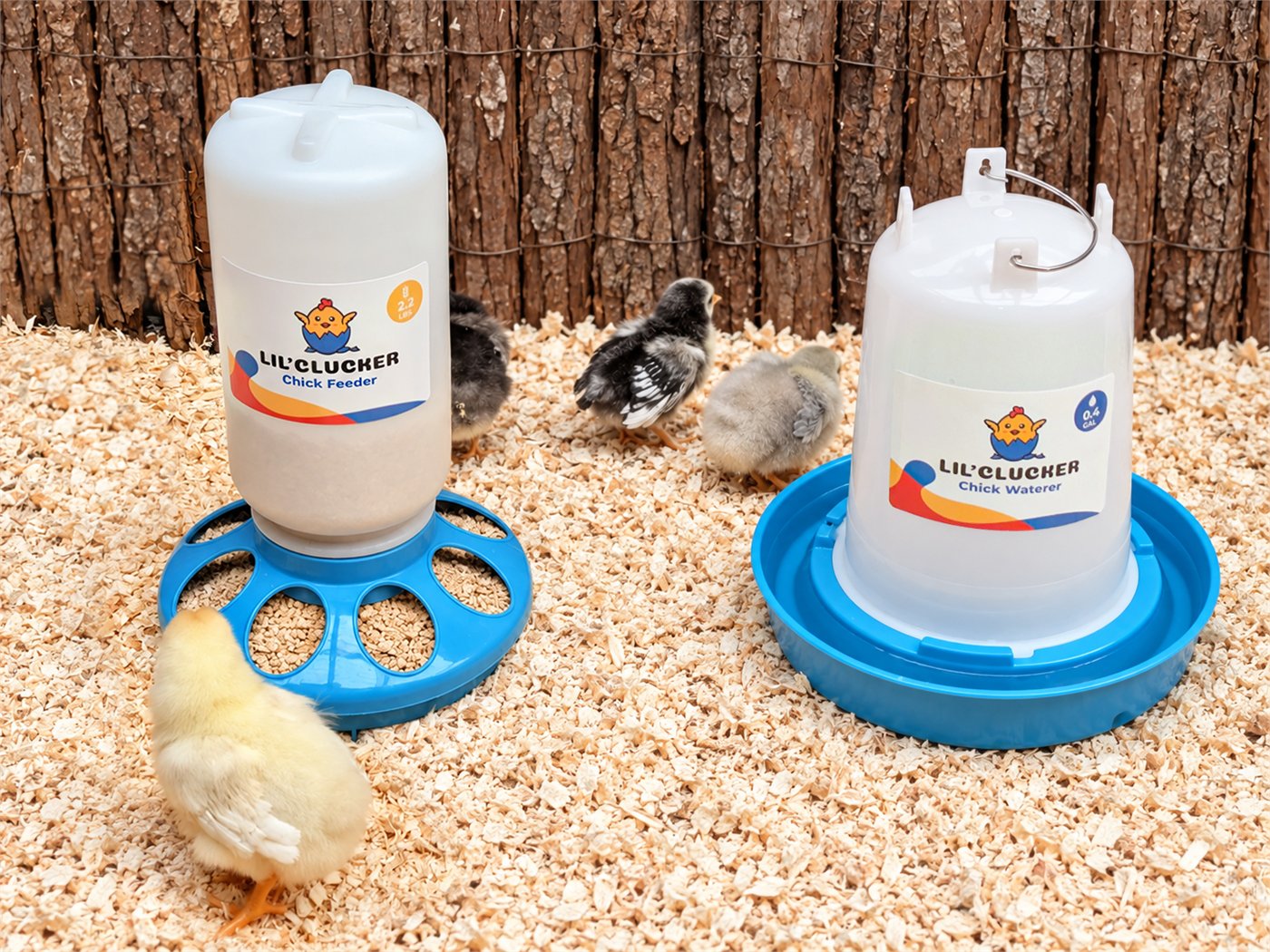 Chicks in the brooder with the Lil’Clucker chick feeder and waterer