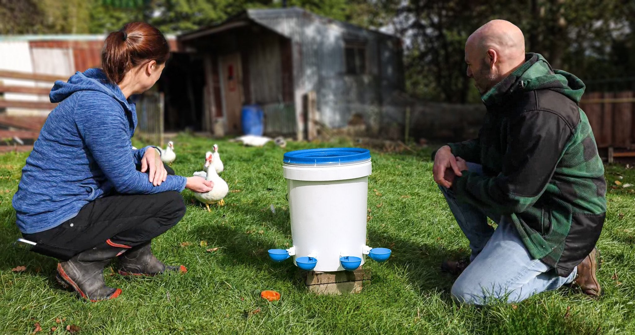 The Lil'Clucker team kneeling in the grass with their ducks and a bucket waterer fitted with blue Lil'Clucker cups