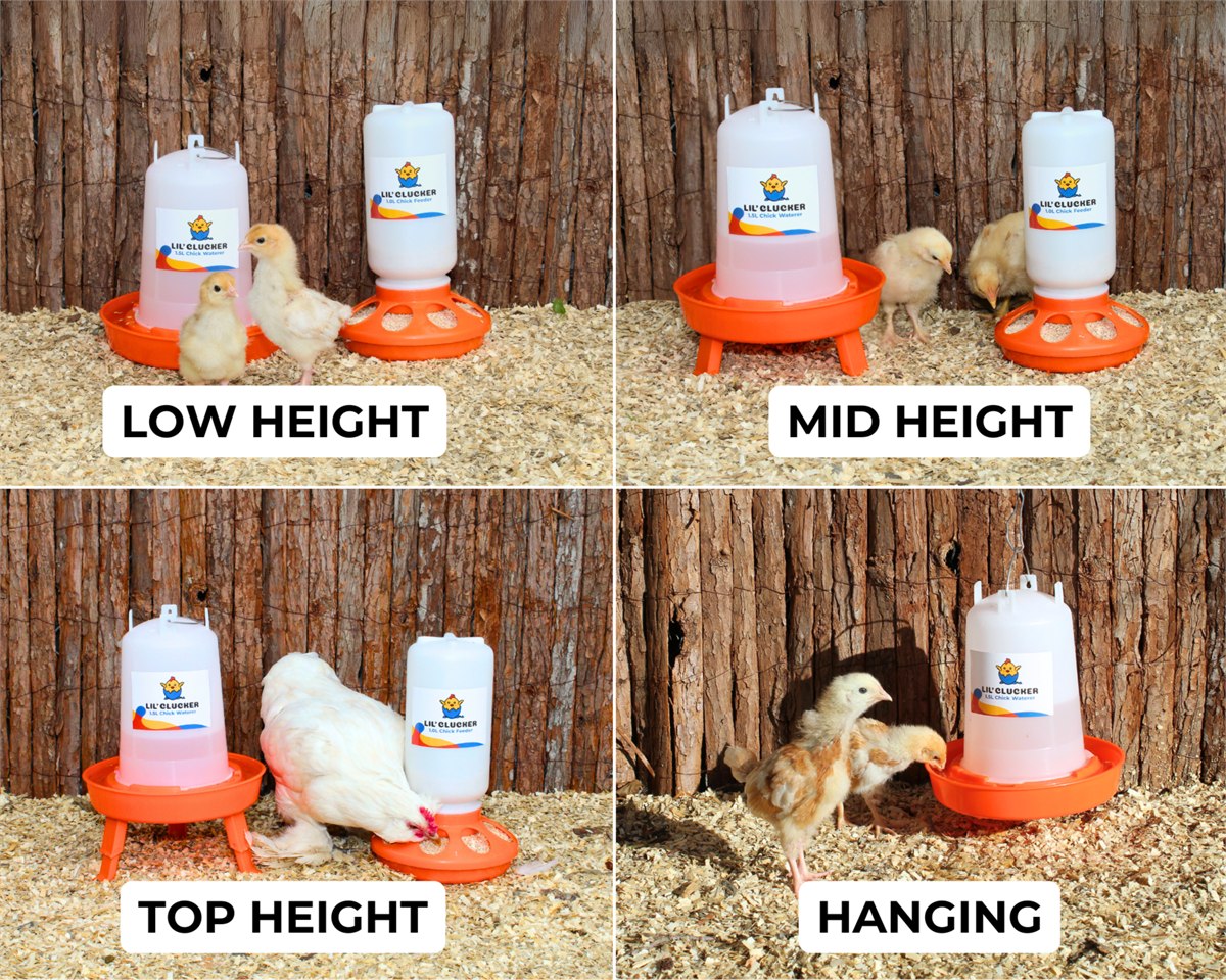 The same kit at low, mid and top leg heights, and the waterer hanging from its handle